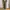 Intermezzo Durban Work Chino Pants Brown Reguler Fit Canvas  photo 3