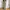 Intermezzo Durban Work Chino Pants Brown Reguler Fit Canvas  photo 4
