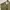 Intermezzo Durban Work Chino Pants Brown Reguler Fit Canvas  photo 7