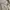 Uniqlo Chino Work Pants White Reguler Fit Canvas Material Lo photo 7