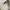 Uniqlo Chino Work Pants White Reguler Fit Canvas Material Lo photo 8