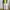 Uniqlo Chino Work Pants White Reguler Fit Canvas Material Lo photo 2
