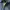 Champion Streetwear Vintage Harrington jacket Pria navy photo 7