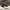 Converse Chuck Taylor II,