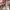 Guess Y2K Shoulder bag Wanita pink photo 2
