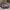 Guess Y2K Shoulder bag Wanita pink photo 1