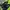 Crocs classic navy original photo 1