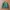 Geartrek Bomber Jacket 