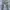 Slim Straight Chino Pants - Plain As Day Original photo 3