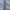 Slim Straight Chino Pants - Plain As Day Original photo 1