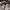 Burberry london kids purple puffer down jacket photo 7