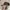 Realtree Hat EXPRESSWAY GMC CHEVROLET photo 5