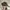 Realtree Hat EXPRESSWAY GMC CHEVROLET photo 6
