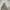 Cargo Pants - Broken White photo 3