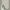 Cargo Pants - Broken White photo 4