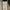 Cargo Pants - Broken White photo 2