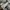 Zara kids metallic silver jacket photo 7