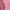 Casual Sweatshirt Pria Pink