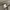 ESPIONAGE KR BDU JACKET photo 9