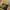 Carhartt Streetwear Sportswear Bag Pria brown photo 4