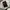 Adidas TWNTY4SVN Windbreaker Jacket Hidden Hoodie photo 8