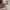 Adidas TWNTY4SVN Windbreaker Jacket Hidden Hoodie photo 9