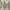 Pre♥️ Koko Kimonik Minimalis Elegan Sage–Kondisi Like  New photo 3
