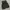 Wego Vest Tactical Black photo 2