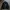 COLUMBIA SHERPA FLEECE