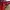 MOUNTAIN HARDWEAR RED (MHW) photo 7