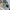 BLUNDSTONE Active Size 43/44 Suede Boots Made in Vietnam photo 1