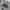 Vintage 1986 The Phantom of the Opera photo 4