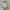 Fjällräven Sportswear Casual Backpack Wanita green photo 2