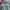 Fjällräven Sportswear Casual Backpack Wanita green photo 5