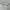 Eyeglasses Oakley Pawter Titanium  photo 1
