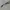 Eyeglasses Oakley Pawter Titanium  photo 4