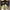 birkenstock arizona black suede photo 2