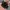 SWISS ARMY MILITARY ORIGINAL photo 1