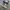New Balance 990 V6 Grey Silver ( Size 40 ) photo 1