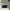 Nike Streetwear Sneakers Pria green photo 4