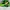 Nike Streetwear Sneakers Pria Green