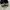 adidas campus 80s photo 1