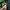 M51 ROK ARMY photo 3