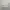Work Jacket Harrington Casual Broken White/Cream By Olzen photo 7