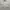 Work Jacket Harrington Casual Broken White/Cream By Olzen photo 2