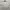 Work Jacket Harrington Casual Broken White/Cream By Olzen