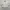 Work Jacket Harrington Casual Broken White/Cream By Olzen photo 1