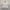 Work Jacket Harrington Casual Broken White/Cream By Olzen