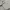 Work Jacket Harrington Casual Broken White/Cream By Olzen photo 5