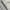Work Jacket Harrington Casual Broken White/Cream By Olzen photo 8